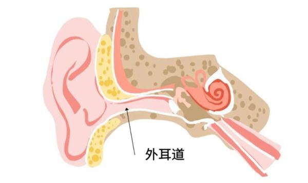 危险!4岁孩子模仿孙悟空,把“金箍棒”塞进耳朵 危险!4岁孩子模仿孙悟空,把“金箍棒”塞进耳朵