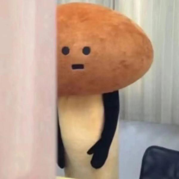 一盘“冒牌”荔枝菌，放倒两个人！