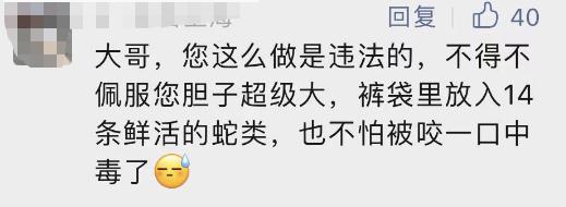 14条活蛇！男子过海关，全藏裤袋里…