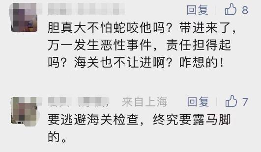 14条活蛇！男子过海关，全藏裤袋里…