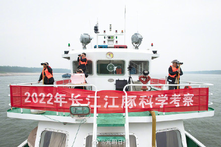 镜头中的长江江豚守护者