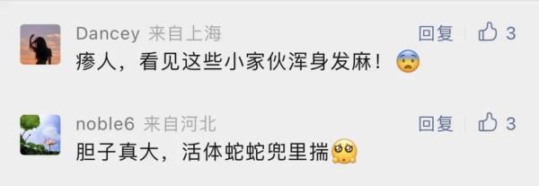 毛骨悚然！男子过海关，竟是“五毒教教主”