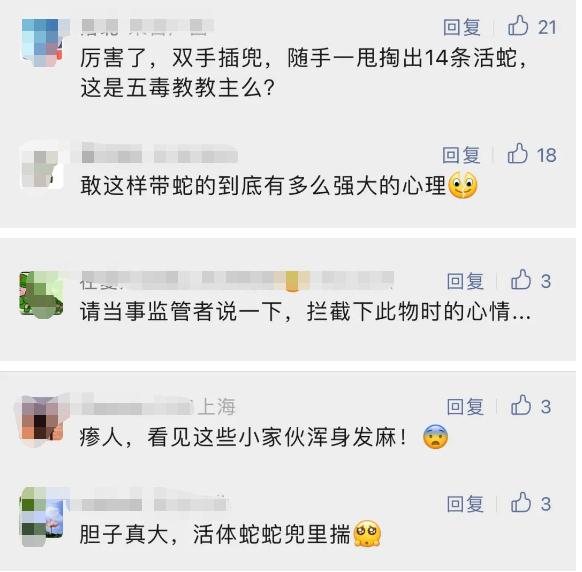 14条活蛇！男子过海关，全藏裤袋里…