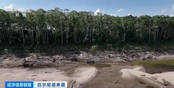 巴西亚马孙河最大支流水位大幅下降 航运和捕鱼业受威胁 巴西亚马孙河最大支流水位大幅下降 航运和捕鱼业受威胁
