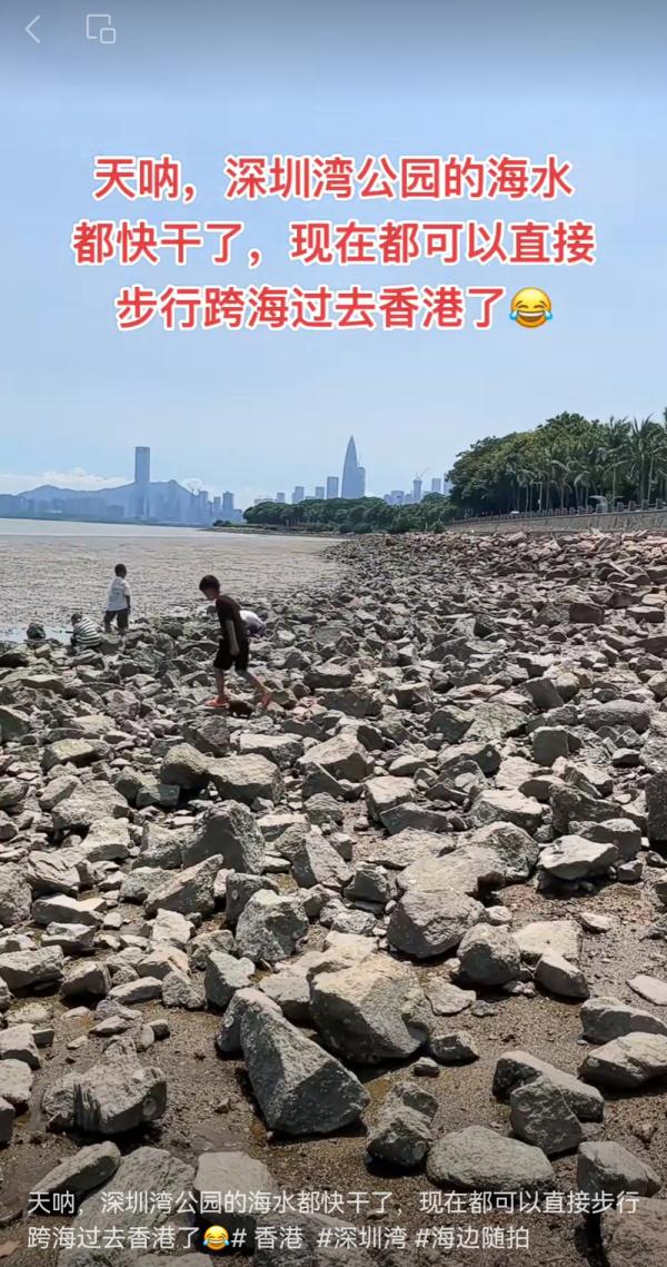 深圳湾“干涸”了？真相原来是……