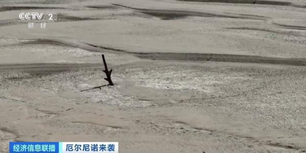 巴西亚马孙河最大支流水位大幅下降 航运和捕鱼业受威胁 巴西亚马孙河最大支流水位大幅下降 航运和捕鱼业受威胁