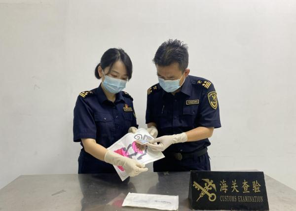 进境邮件内夹藏“迷药”，南宁海关、拉萨海关截获同类管制精神药品