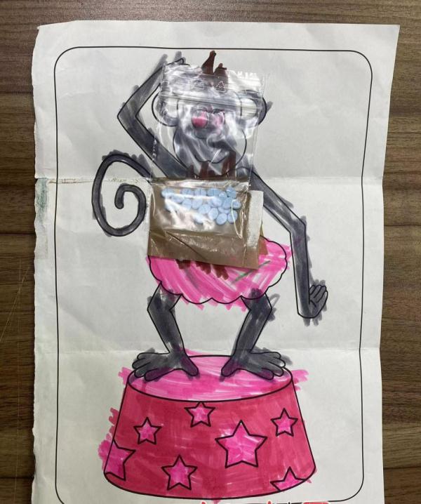 进境邮件内夹藏“迷药”，南宁海关、拉萨海关截获同类管制精神药品