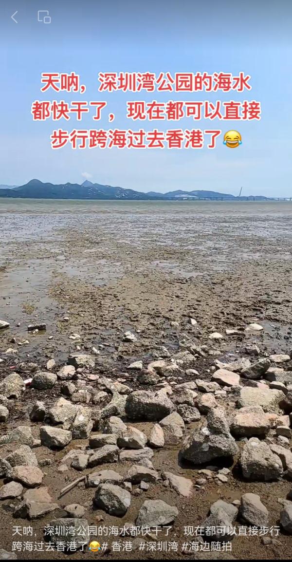 深圳湾“干涸”了？真相原来是……