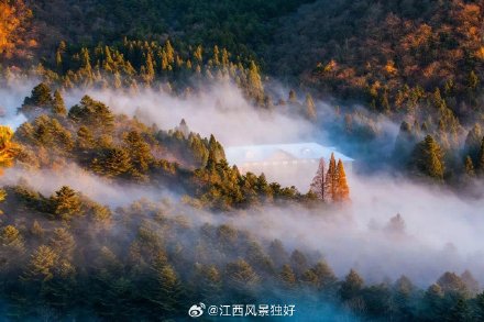 江西庐山将实行一票多次多日使用制,每年3月免票游览 江西庐山将实行一票多次多日使用制,每年3月免票游览