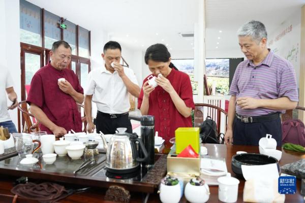 福建下党乡：建设乡村振兴新样板