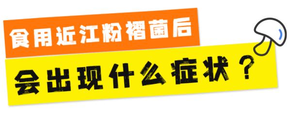 一盘“冒牌”荔枝菌，放倒两个人！