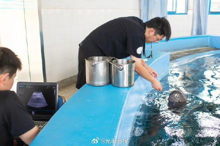 镜头中的长江江豚守护者