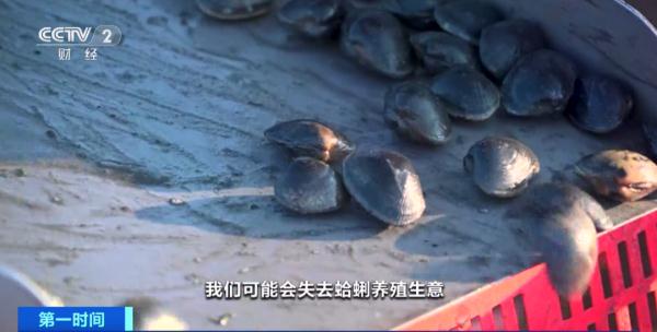 外来物种入侵!这一物种遭毁灭性打击! 外来物种入侵!这一物种遭毁灭性打击!