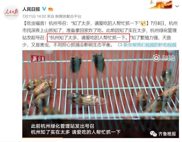 260元一斤!这种虫身价暴涨,好吃还能入药! 260元一斤!这种虫身价暴涨,好吃还能入药!