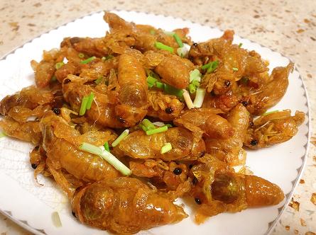 260元一斤!这种虫身价暴涨,好吃还能入药! 260元一斤!这种虫身价暴涨,好吃还能入药!