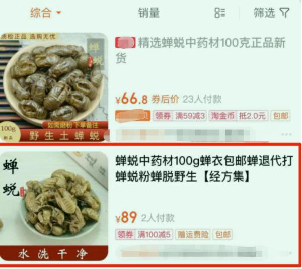 260元一斤!这种虫身价暴涨,好吃还能入药! 260元一斤!这种虫身价暴涨,好吃还能入药!