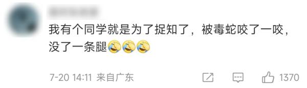 260元一斤!这种虫身价暴涨,好吃还能入药! 260元一斤!这种虫身价暴涨,好吃还能入药!