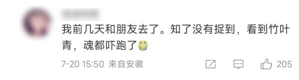 260元一斤!这种虫身价暴涨,好吃还能入药! 260元一斤!这种虫身价暴涨,好吃还能入药!