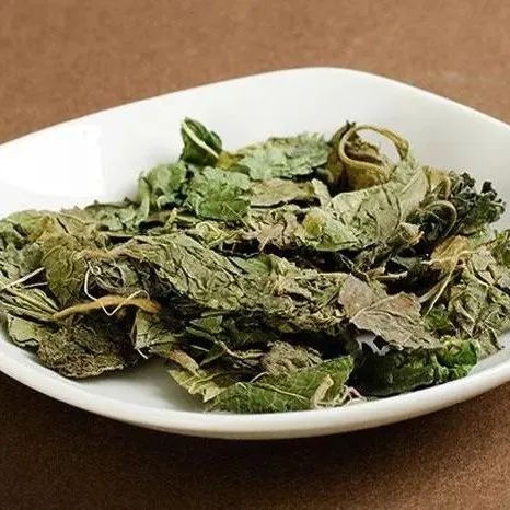 260元一斤!这种虫身价暴涨,好吃还能入药! 260元一斤!这种虫身价暴涨,好吃还能入药!