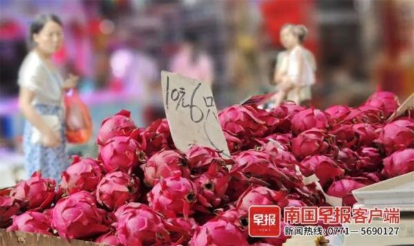 1元1个！广西人实现火龙果自由，“现在最便宜”