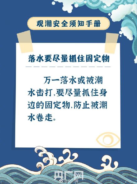 叮！这份观潮安全小贴士关键时能救命
