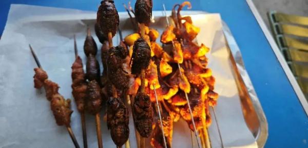 260元一斤!这种虫身价暴涨,好吃还能入药! 260元一斤!这种虫身价暴涨,好吃还能入药!