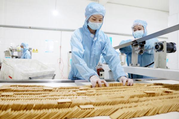 河北肃宁：“一村一品”特色产业铺就村民致富路