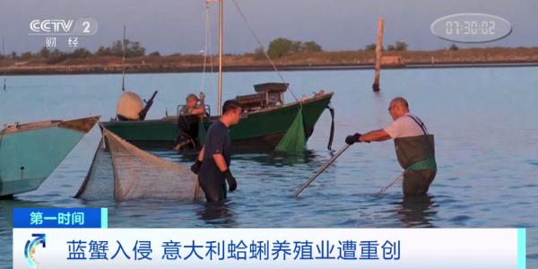 外来物种入侵!这一物种遭毁灭性打击! 外来物种入侵!这一物种遭毁灭性打击!