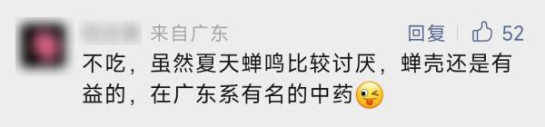 260元一斤!这种虫身价暴涨,好吃还能入药! 260元一斤!这种虫身价暴涨,好吃还能入药!