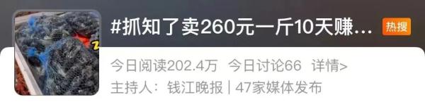 260元一斤!这种虫身价暴涨,好吃还能入药! 260元一斤!这种虫身价暴涨,好吃还能入药!