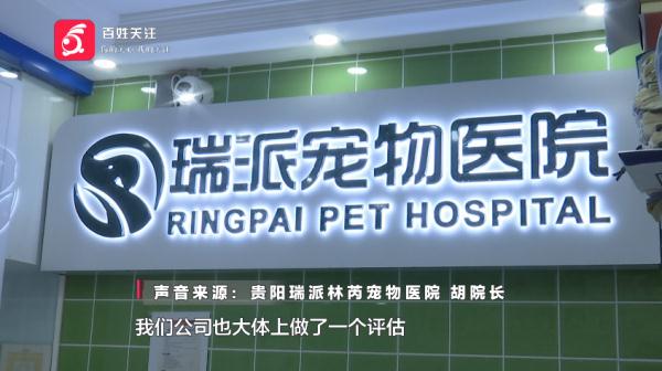 女子带爱宠绝育，结果竟成绝命！医院：确实不清楚