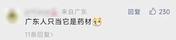 260元一斤!这种虫身价暴涨,好吃还能入药! 260元一斤!这种虫身价暴涨,好吃还能入药!