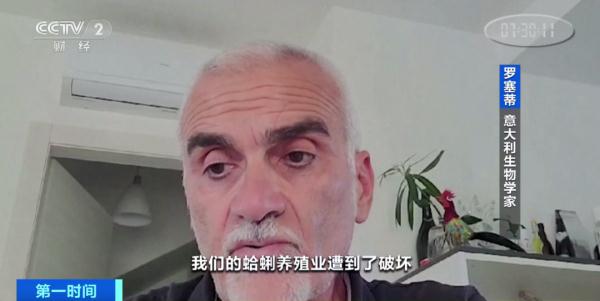 外来物种入侵!这一物种遭毁灭性打击! 外来物种入侵!这一物种遭毁灭性打击!