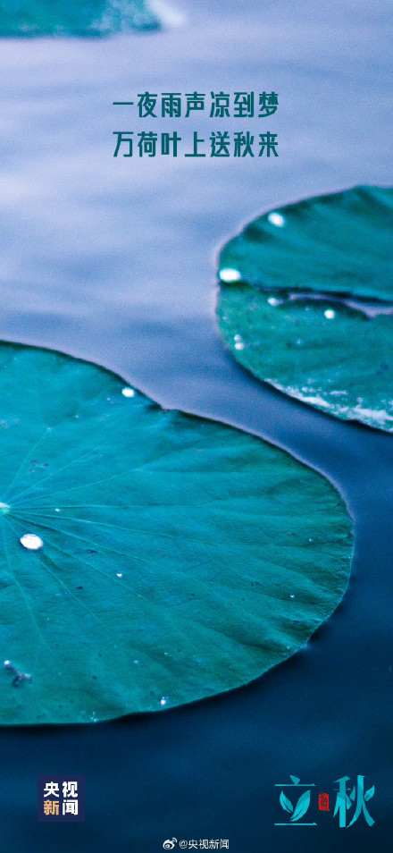 你准备好迎接秋天了吗? 你准备好迎接秋天了吗?