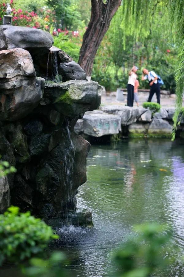 72名泉全部复涌 泉城再现千泉喷涌景象