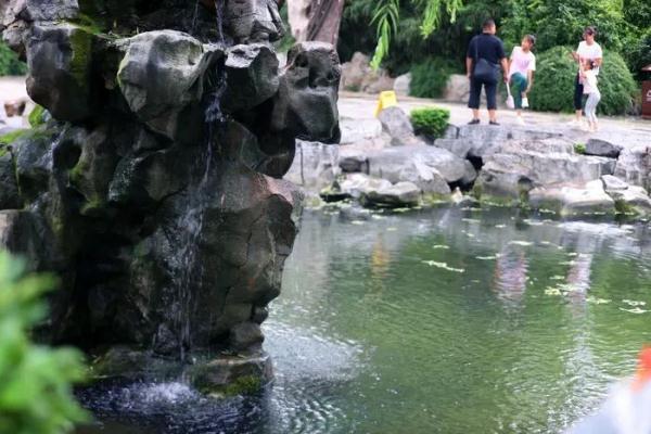 72名泉全部复涌 泉城再现千泉喷涌景象