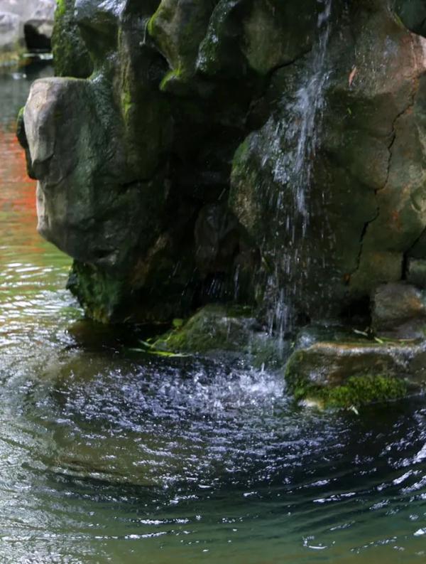 72名泉全部复涌 泉城再现千泉喷涌景象