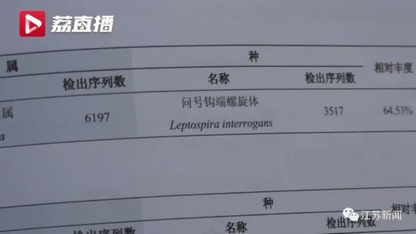 警惕!这样喝水可能致命,女子因此住进ICU 警惕!这样喝水可能致命,女子因此住进ICU