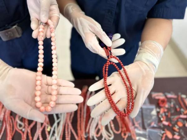 沈阳邮局海关在国际进境邮件中发现红珊瑚制品 共计2840克 沈阳邮局海关在国际进境邮件中发现红珊瑚制品 共计2840克