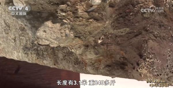 广东海上丝绸之路博物馆：穿越时光重现海上丝路辉煌