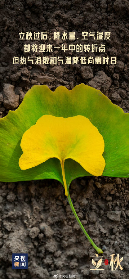 你准备好迎接秋天了吗? 你准备好迎接秋天了吗?