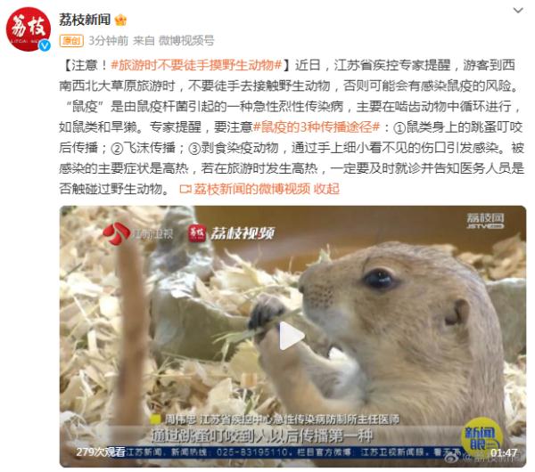 注意！旅游时不要徒手摸野生动物