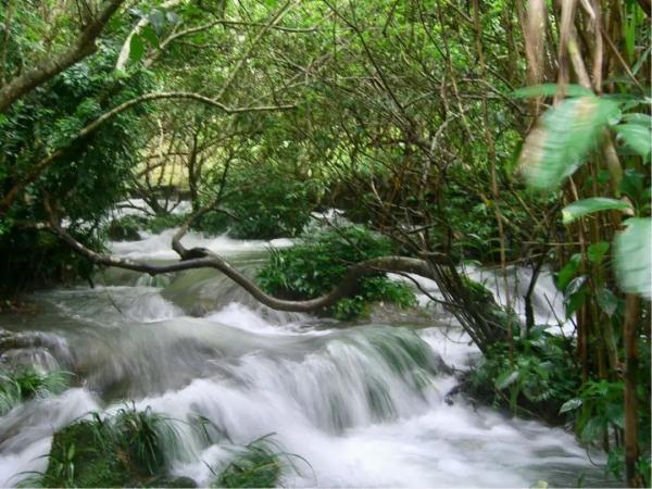 1小时从贵阳刹拢荔波！贵南高铁贵荔段今日首发，一起来打卡