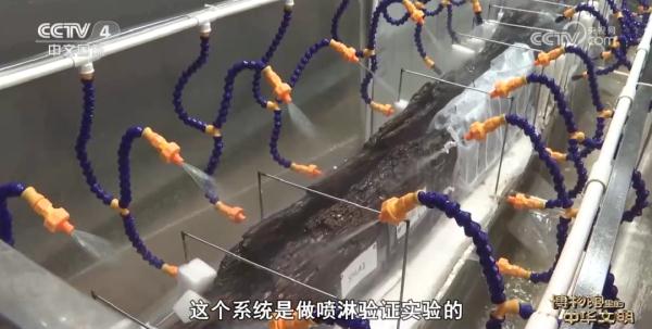 广东海上丝绸之路博物馆：穿越时光重现海上丝路辉煌
