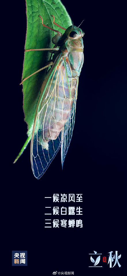 你准备好迎接秋天了吗? 你准备好迎接秋天了吗?