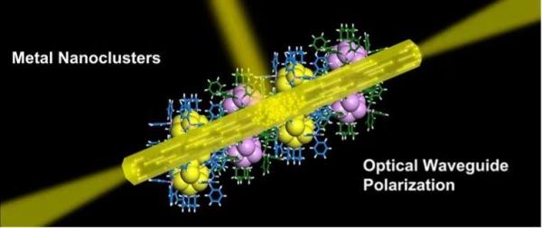 安徽大学又有新发现! 安徽大学又有新发现!