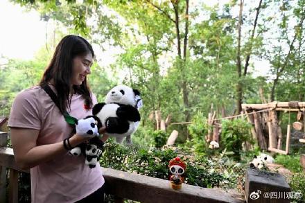 梦幻联动!张雨霏如愿见到熊猫花花 梦幻联动!张雨霏如愿见到熊猫花花