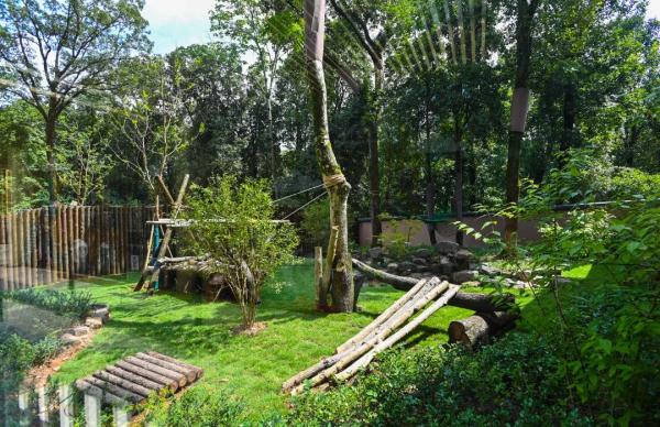 确定!马上来杭州! 确定!马上来杭州!