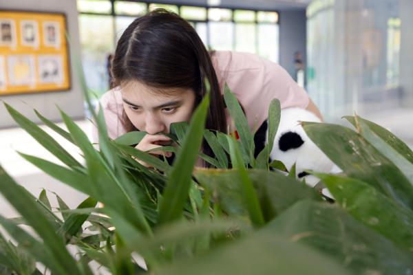 当”蝶后“雨霏遇见熊猫”花花“